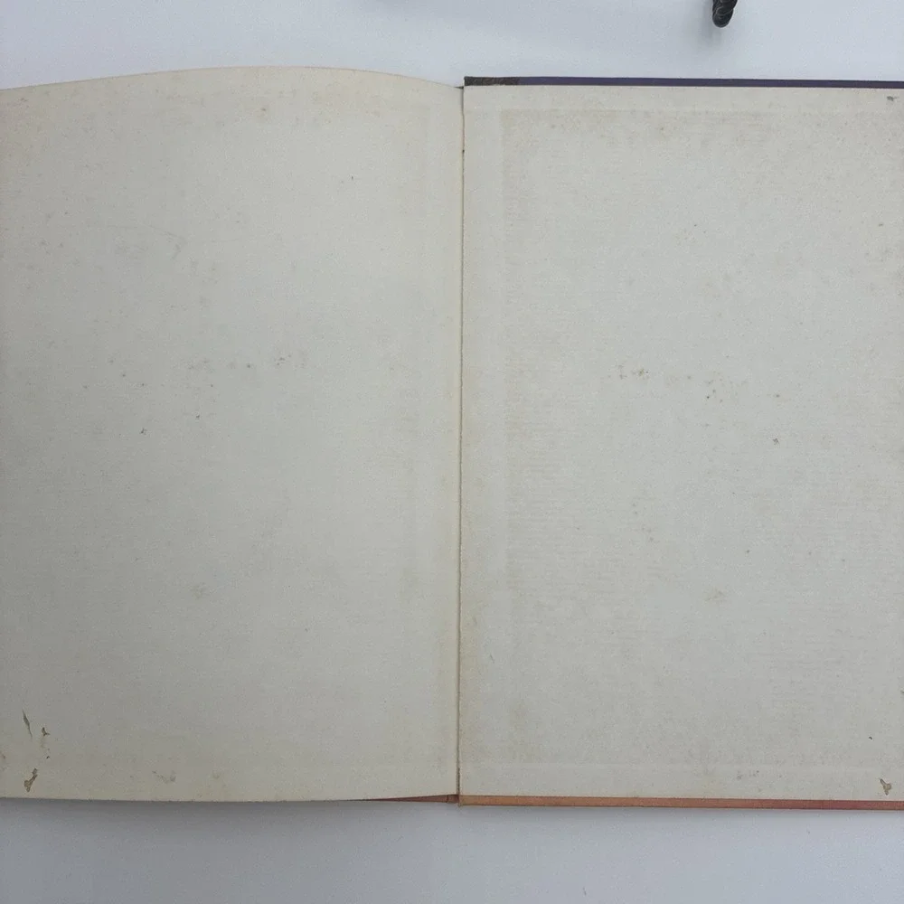 Something Queer Is Going On Elizabeth Levy Mordicai Gerstein 1973 First Printing